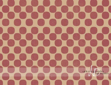 JD PHOTOGRAPHY  Fotopozadí - PUNTÍKY 20