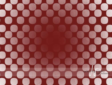 JD PHOTOGRAPHY  Fotopozadí - PUNTÍKY 18