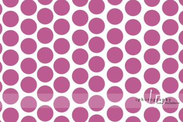 JD PHOTOGRAPHY  Fotopozadí - PUNTÍKY 15