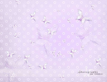JD PHOTOGRAPHY  Fotopozadí - MOTÝLI - fialoví