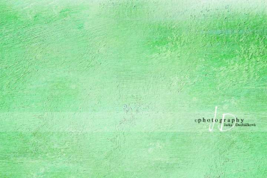 JD PHOTOGRAPHY  Fotopozadí - ZEĎ zelená