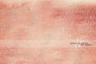 JD PHOTOGRAPHY  Fotopozadí - ZEĎ hnědo červená