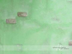 JD PHOTOGRAPHY  Fotopozadí - zelená zeď - na šířku