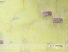 JD PHOTOGRAPHY  Fotopozadí - žlutá zeď - na šířku