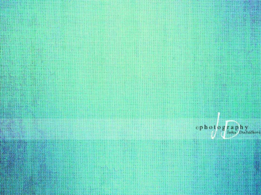 JD PHOTOGRAPHY  Fotopozadí - PLÁTNO 18