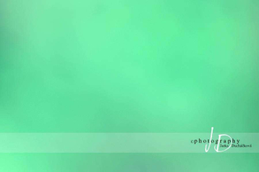 JD PHOTOGRAPHY  Fotopozadí - BOKEH 11