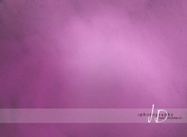 JD PHOTOGRAPHY  Fotopozadí - VINTAGE 17