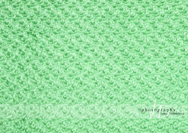 JD PHOTOGRAPHY  Fotopozadí - SAMETOVÉ RůŽIČKY 2 zelené