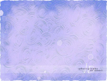 JD PHOTOGRAPHY  Fotopozadí - PLÁTNO 12