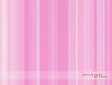 JD PHOTOGRAPHY  Foto pozadí - pruhy růžové