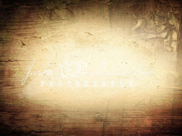 JD PHOTOGRAPHY  Fotopozadí - DESIGN 151