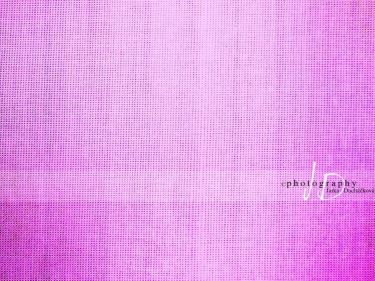 JD PHOTOGRAPHY  Fotopozadí - PLÁTNO 16