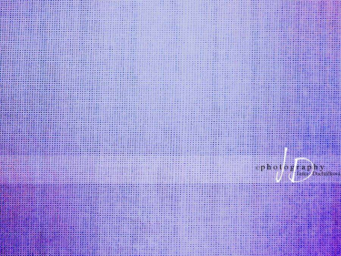 JD PHOTOGRAPHY  Fotopozadí - PLÁTNO 14