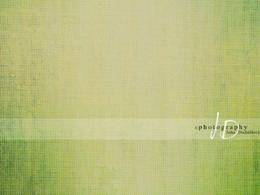 JD PHOTOGRAPHY  Fotopozadí - PLÁTNO 13