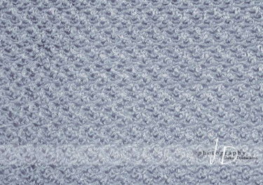 JD PHOTOGRAPHY  Fotopozadí - SAMETOVÉ RůŽIČKY 6 šedé