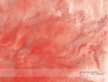 JD PHOTOGRAPHY  Fotopozadí - MLHOVINA 3