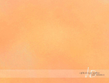 JD PHOTOGRAPHY  Fotopozadí - PLÁTNO 3 oranžové