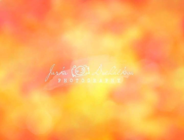 JD PHOTOGRAPHY  Fotopozadí - BARVY PODZIMU 5
