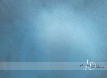 JD PHOTOGRAPHY  Fotopozadí - VINTAGE 15