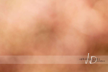 JD PHOTOGRAPHY  Fotopozadí - BOKEH 5