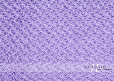 JD PHOTOGRAPHY  Fotopozadí - SAMETOVÉ RůŽIČKY 1 fialové