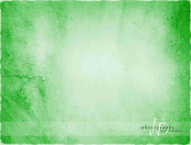 JD PHOTOGRAPHY  Fotopozadí VINTAGE zelené
