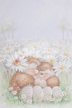 JD PHOTOGRAPHY  Fotopozadí - DESIGN 134