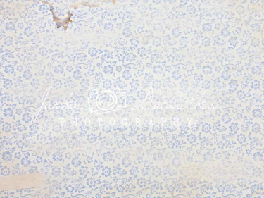 JD PHOTOGRAPHY  Fotopozadí - DESIGN 96