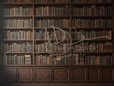 Fotopozadí - Knihovna 13