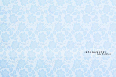 JD PHOTOGRAPHY  Fotopozadí - DESIGN 49