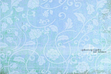 JD PHOTOGRAPHY  Fotopozadí - DESIGN 45