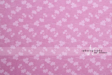 JD PHOTOGRAPHY  Fotopozadí - DESIGN 22