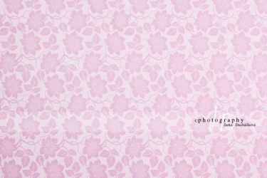 JD PHOTOGRAPHY  Fotopozadí - DESIGN 14