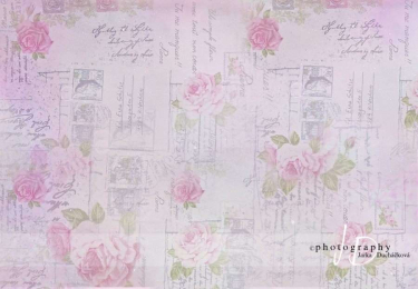 JD PHOTOGRAPHY  Fotopozadí - RůŽE 19