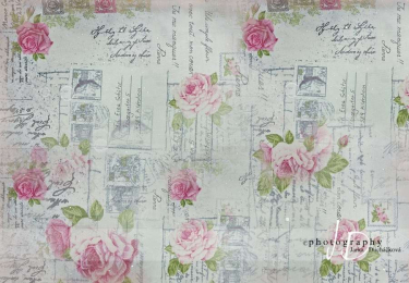 JD PHOTOGRAPHY  Fotopozadí - RůŽE 16