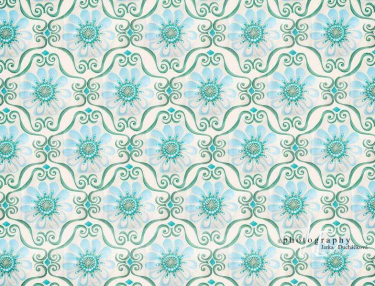 JD PHOTOGRAPHY  Fotopozadí - KVĚTINKY 17