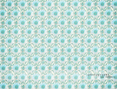 JD PHOTOGRAPHY  Fotopozadí - KVĚTINKY 14