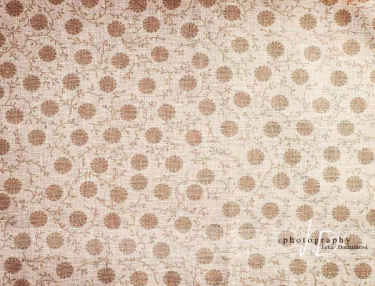 JD PHOTOGRAPHY  Fotopozadí - KVĚTINKY 5