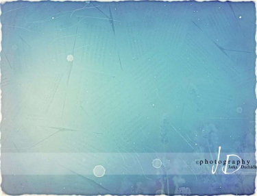 JD PHOTOGRAPHY  Fotopozadí - LEVANDULE - NOTA 2 retro