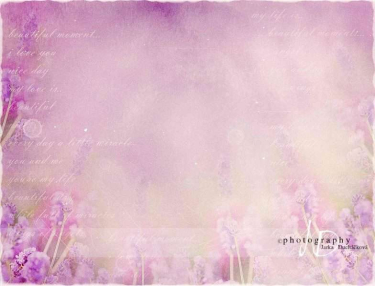 JD PHOTOGRAPHY  Fotopozadí - LEVANDULE 7 retro