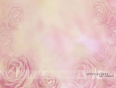 JD PHOTOGRAPHY  Fotopozadí - RůŽE 7