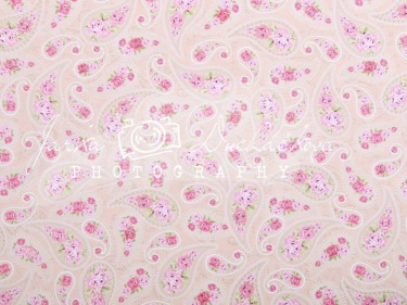 JD PHOTOGRAPHY  DESIGN 216