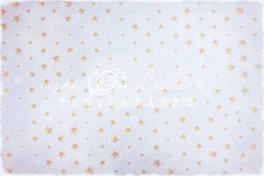 JD PHOTOGRAPHY  Fotopozadí - DESIGN 142 retro