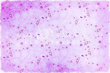 JD PHOTOGRAPHY  Fotopozadí - DESIGN 139 retro