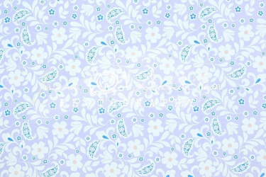 JD PHOTOGRAPHY  Fotopozadí - DESIGN 137