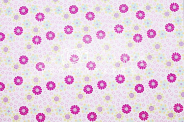 JD PHOTOGRAPHY  Fotopozadí - DESIGN 125