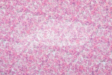 JD PHOTOGRAPHY  Fotopozadí - DESIGN 124