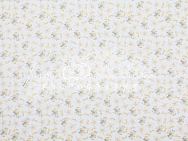 JD PHOTOGRAPHY  Fotopozadí - DESIGN 92