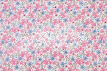 JD PHOTOGRAPHY  Fotopozadí - DESIGN 53