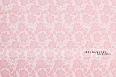 JD PHOTOGRAPHY  Fotopozadí - DESIGN 50